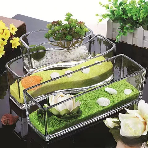 水培植物玻璃瓶方缸简约花瓶透明绿萝睡莲铜钱草水养花盆器皿摆件
