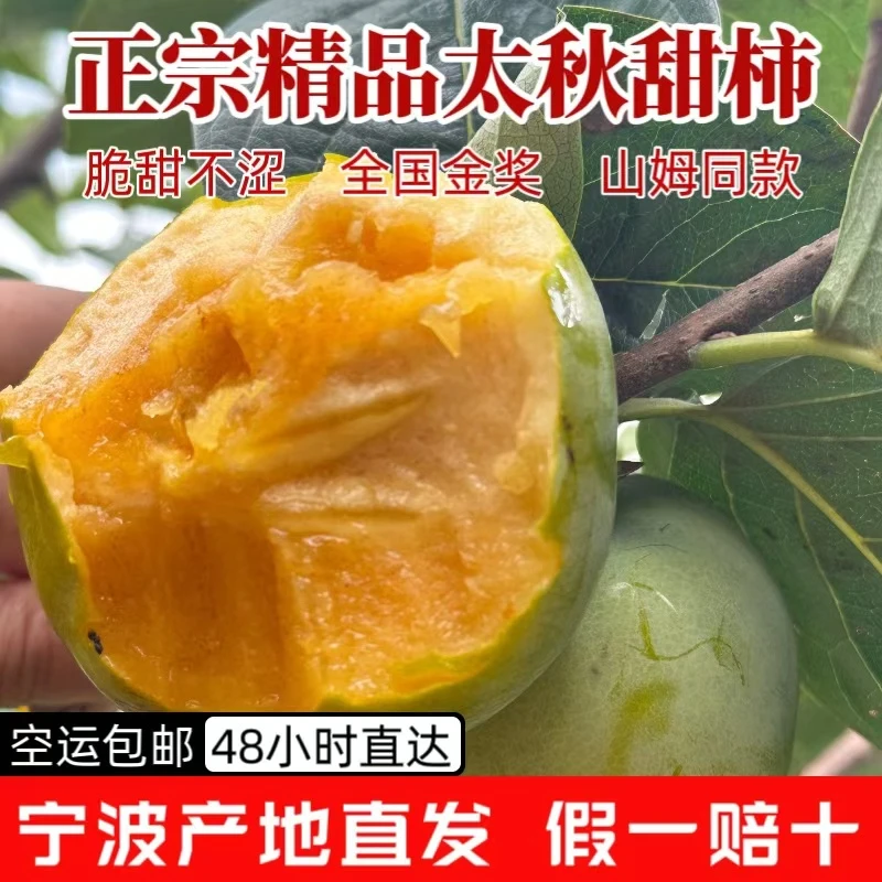 浙江宁波正宗太秋甜柿中秋礼盒装当季水果日本脆柿高端发货甜脆