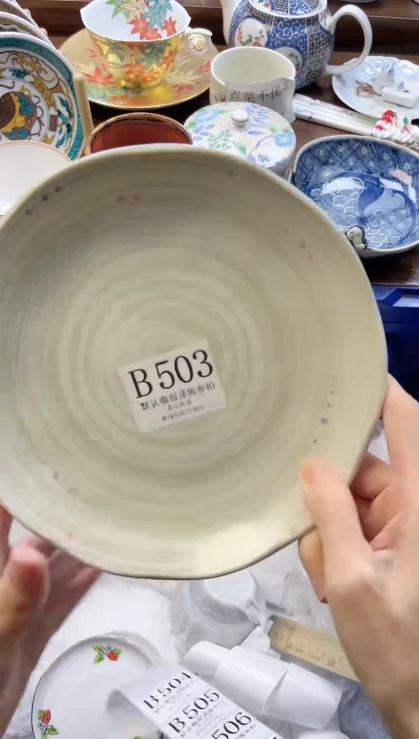 【闪购商品】瓷片         B503