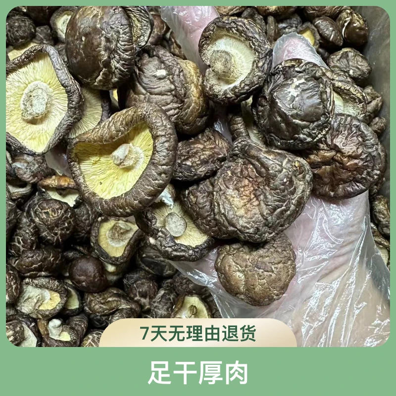 大香菇 足干厚肉 新货 批发福利价 家庭日常炖汤炒饭 炖鸡汤