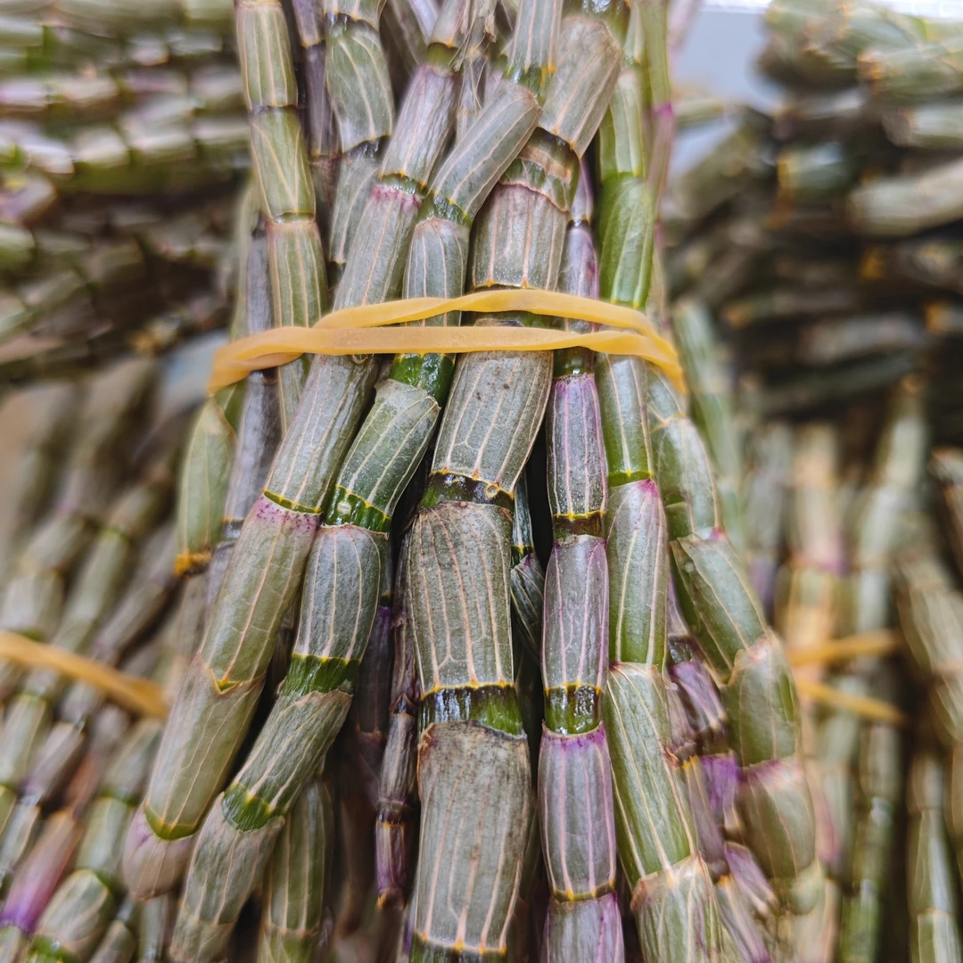 新鲜石斛条 铁皮石斛煮水煮汤榨汁（百合干）