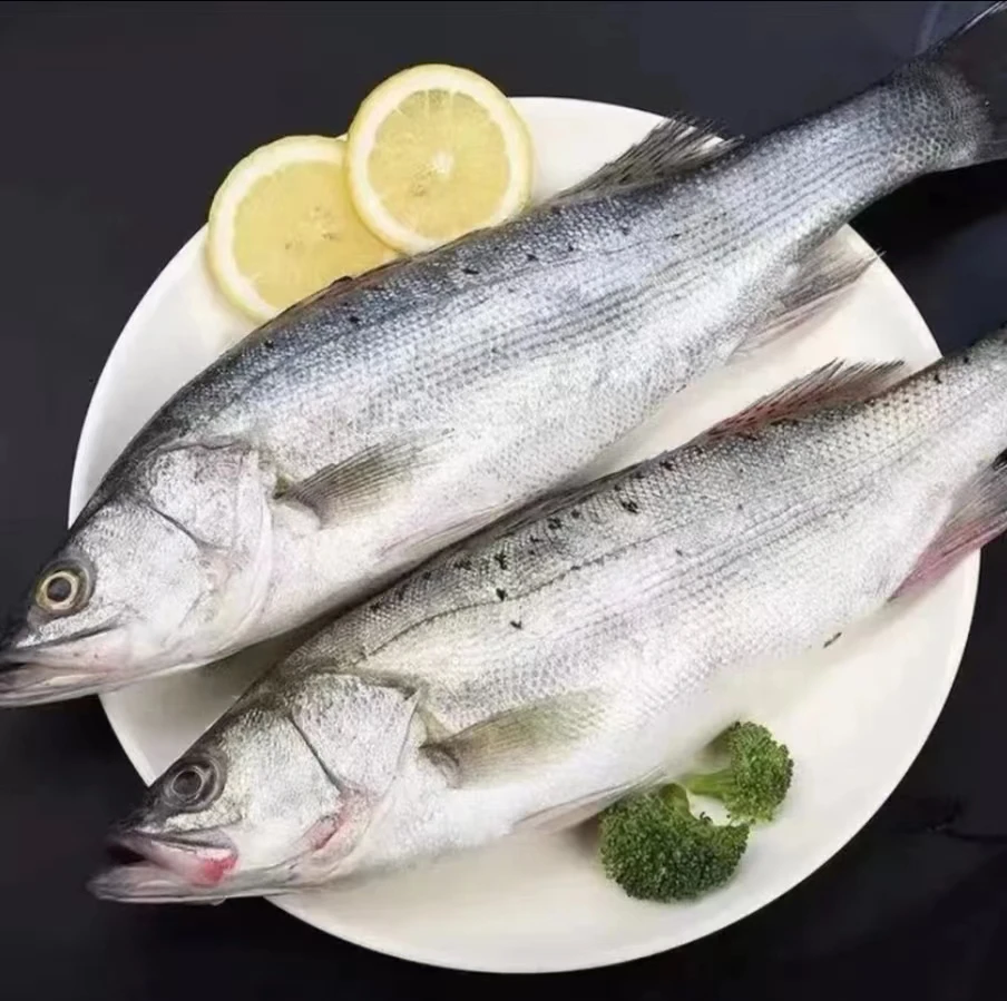 连云港发货 新鲜鲈鱼【500g-650g/条】新鲜速冻发货 到手4条 4-5斤