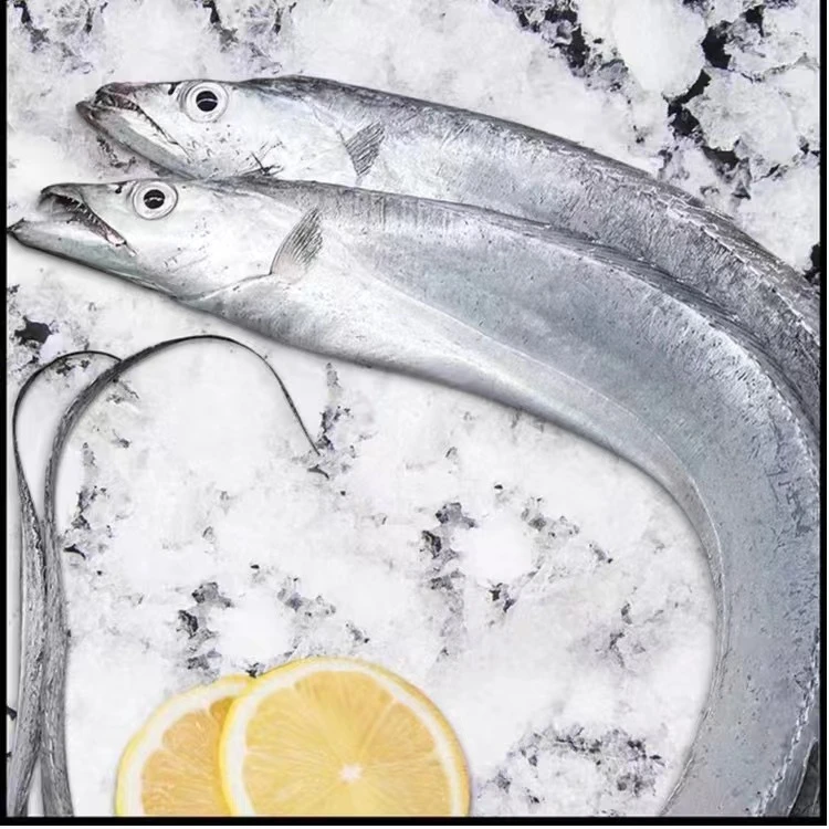 【B祁大婶】连云港发货 带鱼新鲜速冻发货【100g-200g/条】到手14条