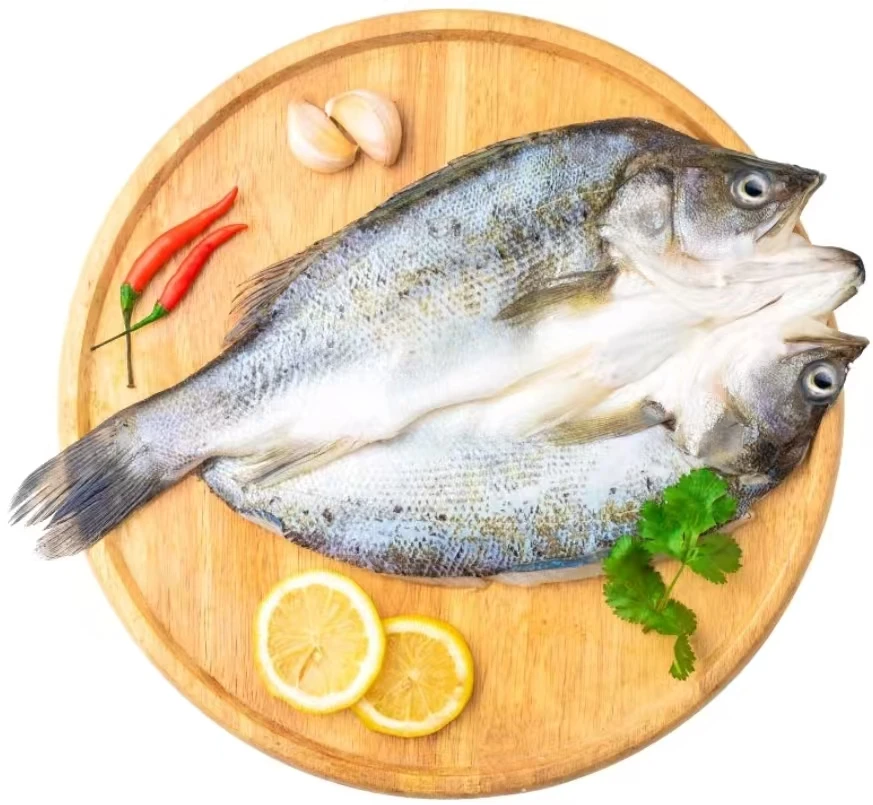 【5条】连云港发货  新鲜 速冻   开背鲈鱼 400g-500g/条 到手五条