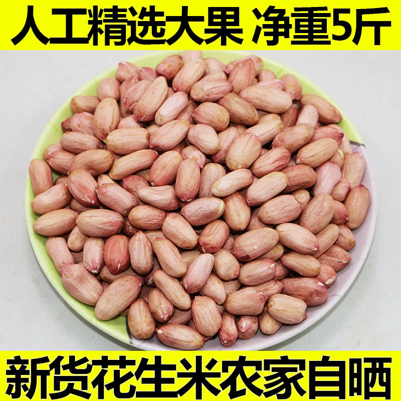 24年新鲜干花生米5斤装农家自产生花生粉红皮大颗粒散装河南特产