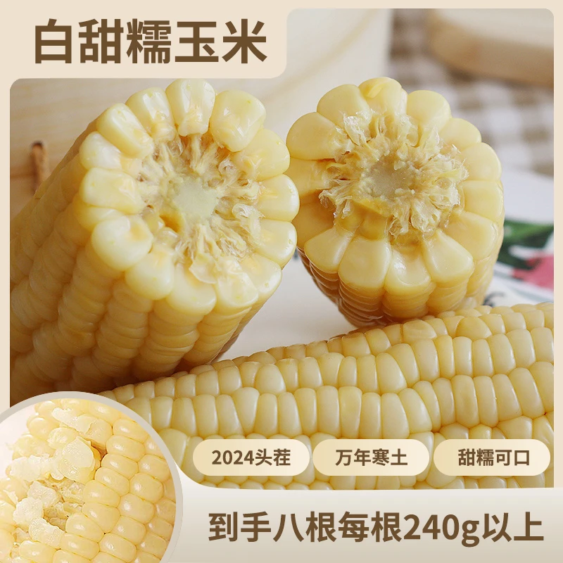 【试吃两根】2024年东北头茬白甜糯玉米240g*8甜糯玉米336营养代餐