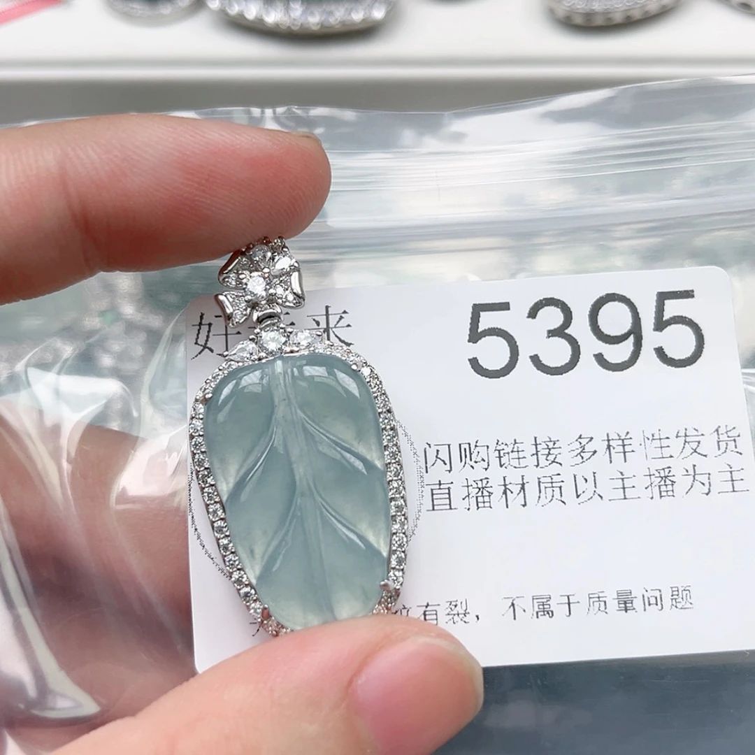【闪购商品】翡翠颈饰未镶嵌翡翠5395