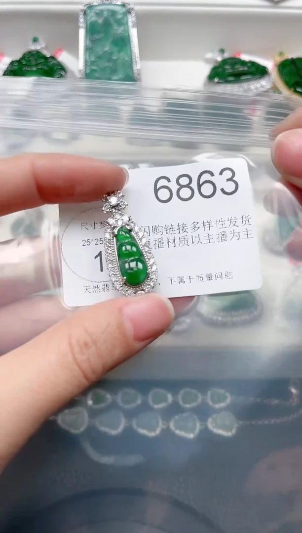 【闪购商品】翡翠颈饰未镶嵌6863(赠皮绳)