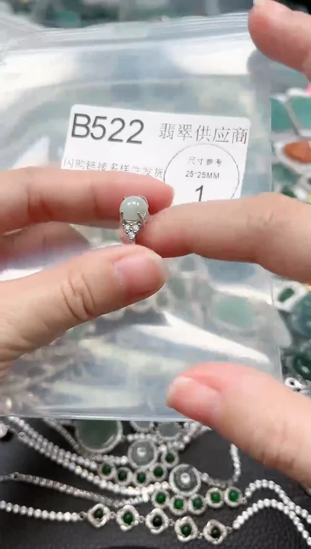 【闪购商品】翡翠颈饰未镶嵌522