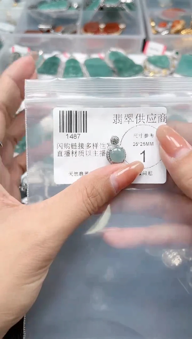 【闪购商品】翡翠颈饰未镶嵌1487