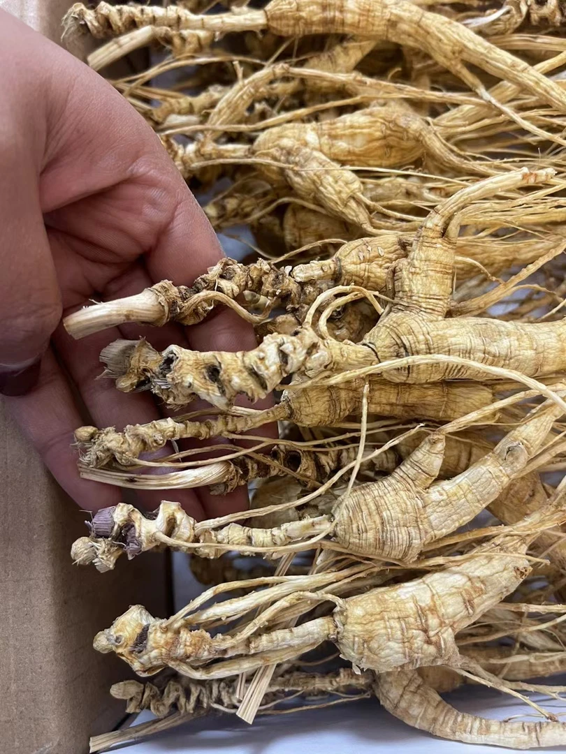 长白山 老池底参打粉料净重250克/500克