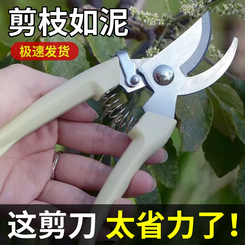 不锈钢树枝修枝剪采摘水果花木剪园林果树花卉枝嫁接园艺剪刀工具