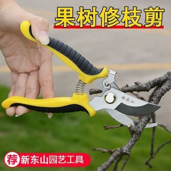 果树剪刀粗大花剪园艺剪子工具花剪枝剪刀园林花艺修剪树枝剪刀
