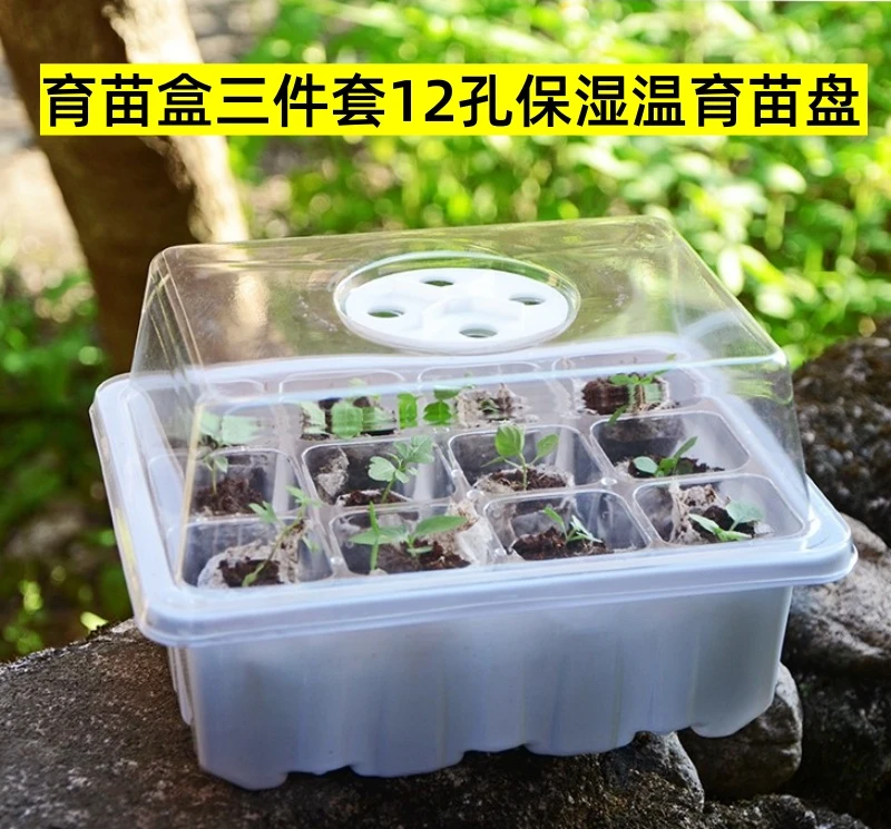 12孔塑料育苗盒盖多肉叶插育苗盆三件套培养播种盒保湿温育苗盘