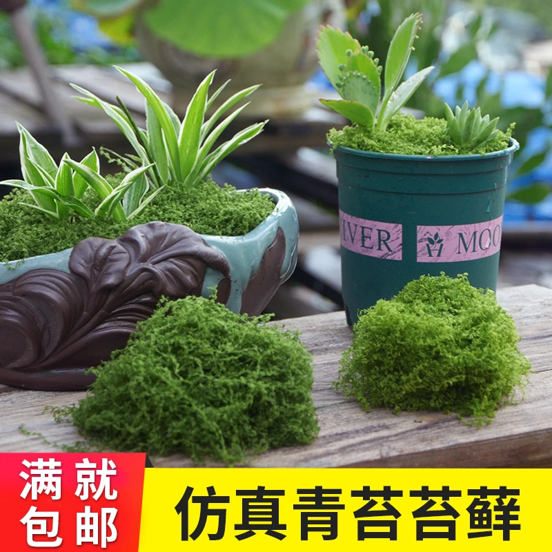 仿真苔藓草皮仿生人造假青苔微景观布置摆件草坪盆景盆栽铺面造景