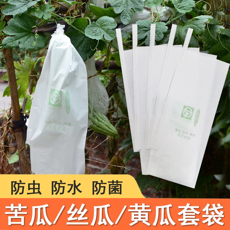 苦瓜丝瓜黄瓜套袋青瓜水果瓜果套果袋透明防虫袋防鸟塑料纸袋套