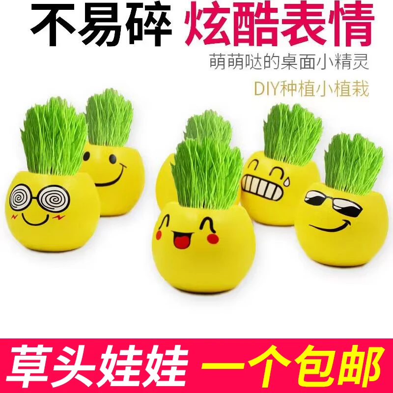 草头娃娃办公室迷你植物小盆栽青草种植表情桌面diy盆栽学生礼品