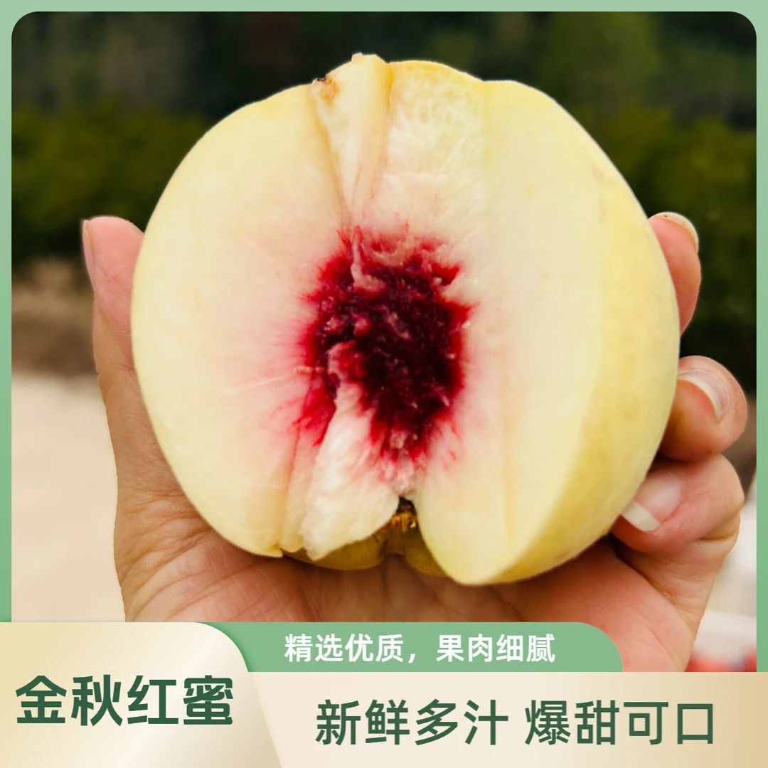 冬桃金秋红蜜随州应季鲜桃多汁现摘现发生态鲜果