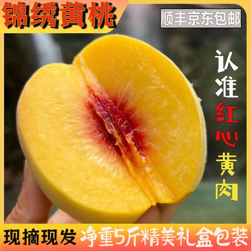 【顺丰包邮】随州锦绣黄桃应季鲜果头茬现摘现发软糯香甜桃香浓郁