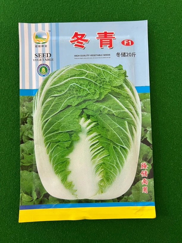 冬青 包心白菜种子 颗大心满