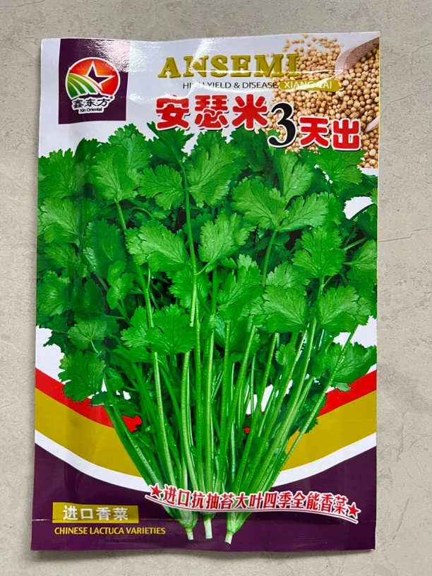 安瑟米3天出 香菜种子 叶片大 香味浓