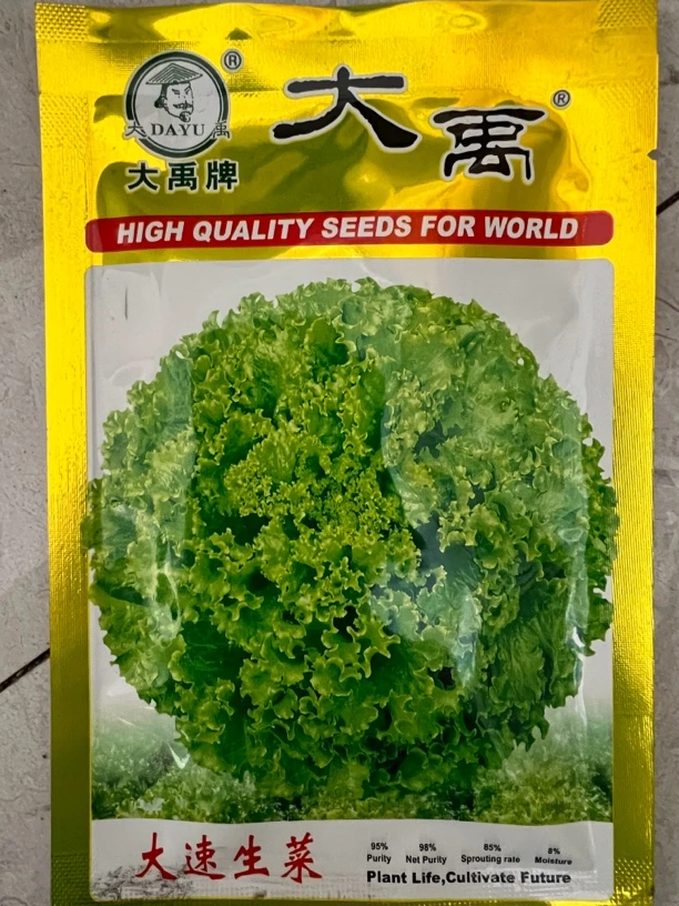 大禹 大速生菜籽