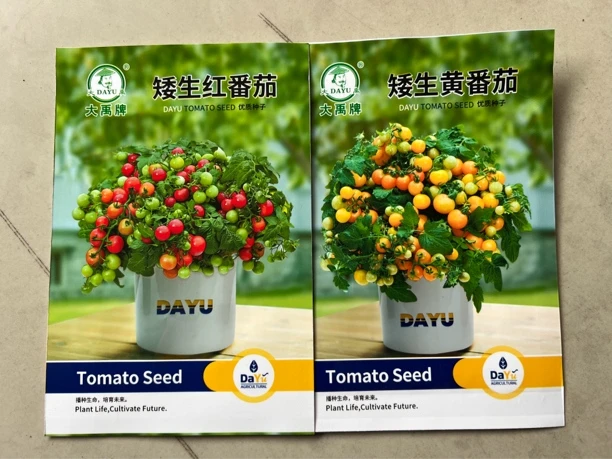 盆栽红番茄+盆栽黄番茄 （组合）各50粒左右