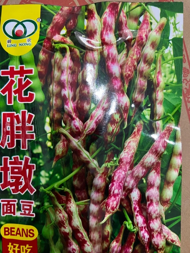 花胖墩豆角种子50克