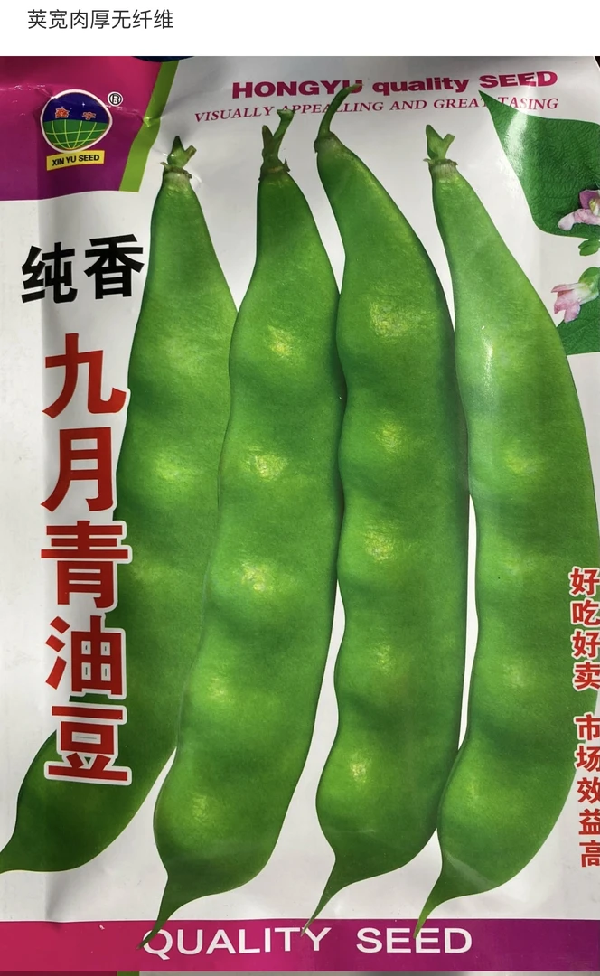 纯香 九月青 搭架油豆 豆角籽50克 无筋无柴