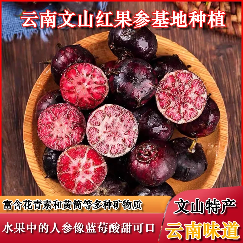 新鲜现摘红果参现货速发蜘蛛算盘果山荸荠果中人参云南文山直发