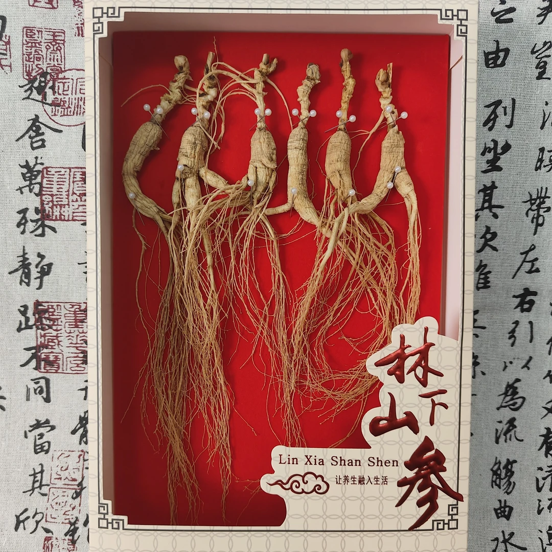 【山为证】长白山林下参礼盒正宗干货泡酒煲汤送礼佳品