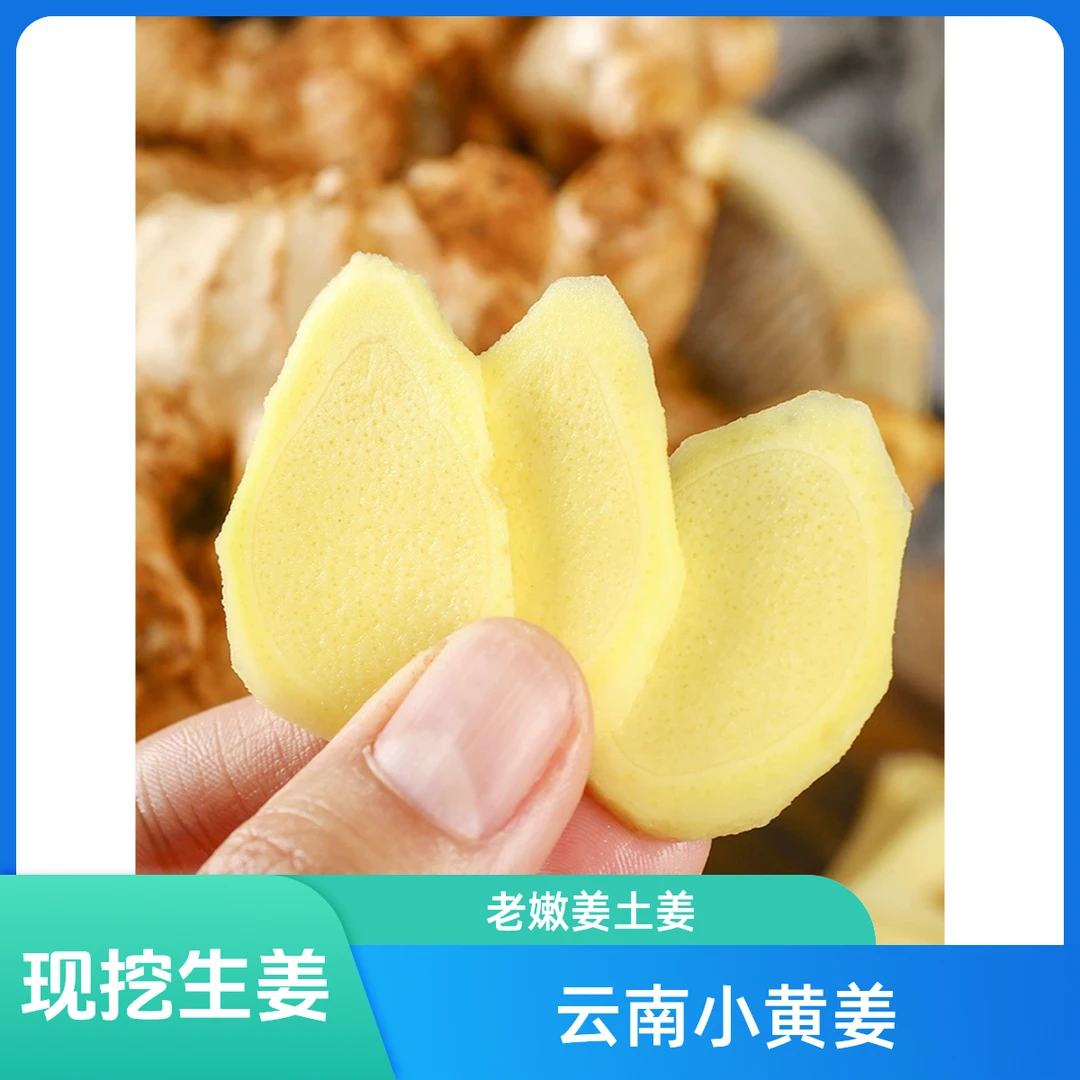 云南高山小黄姜辛辣浓郁生态老姜食用佳品生姜