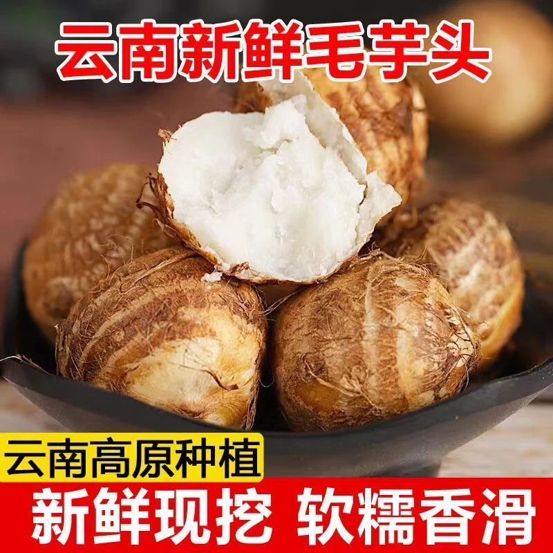 云南新鲜毛芋头软糯香甜牛奶小芋头农家种植现挖发货高原蔬菜