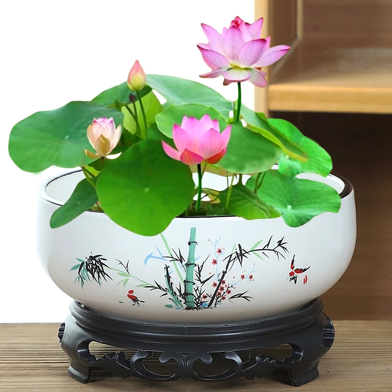 简约铜钱草花盆水仙花碗莲睡莲家用陶瓷水培无孔植物水养专用花盆