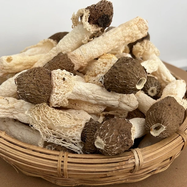 野生竹荪500G红托竹荪