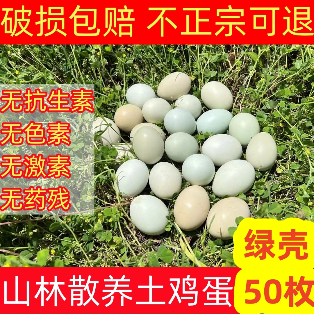 绿壳50枚-湖北山林散养农村土鸡蛋纯粮喂养绿壳乌鸡蛋宝宝辅食