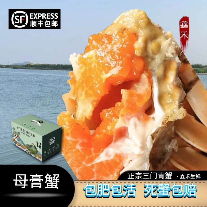【红膏蟹】三门青蟹 母膏蟹 大公蟹 螃蟹 鲜活青蟹 海鲜海蟹 勿冷藏