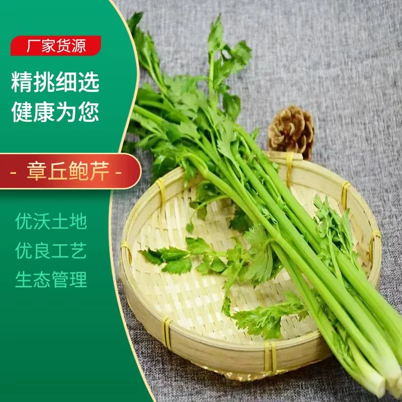 章丘鲍芹，脆嫩少丝。