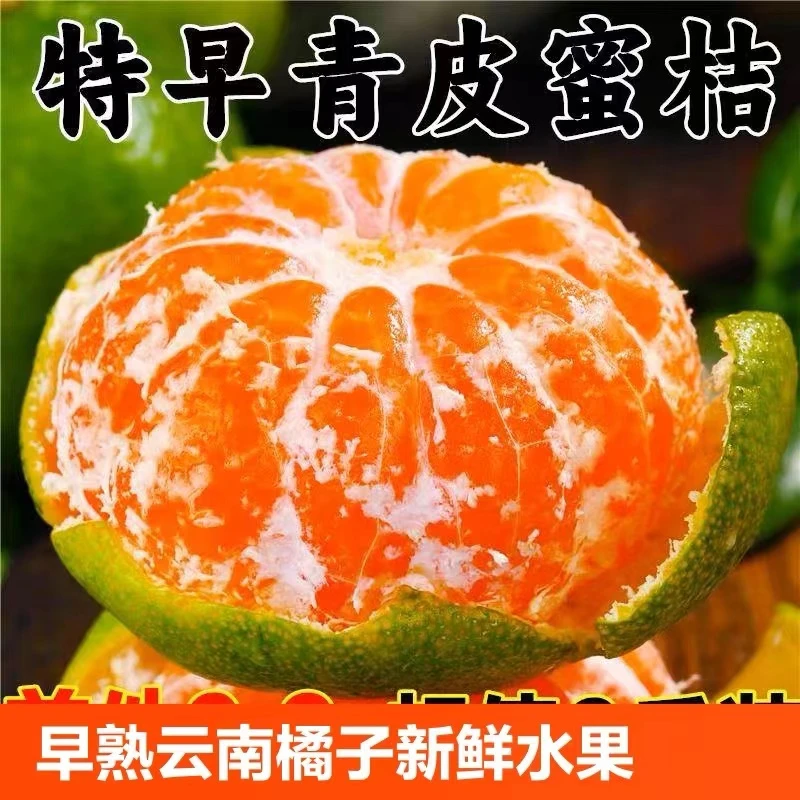 云南青皮早期橘子2024新鲜现摘蜜桔子应季当季孕妇水果青绿皮蜜橘