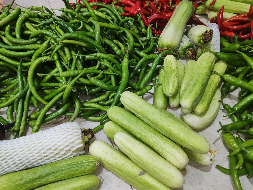 江西萍乡本地现摘蔬菜混搭青椒红椒洋辣椒茄子闹菜芥兰头冬笋饭豆