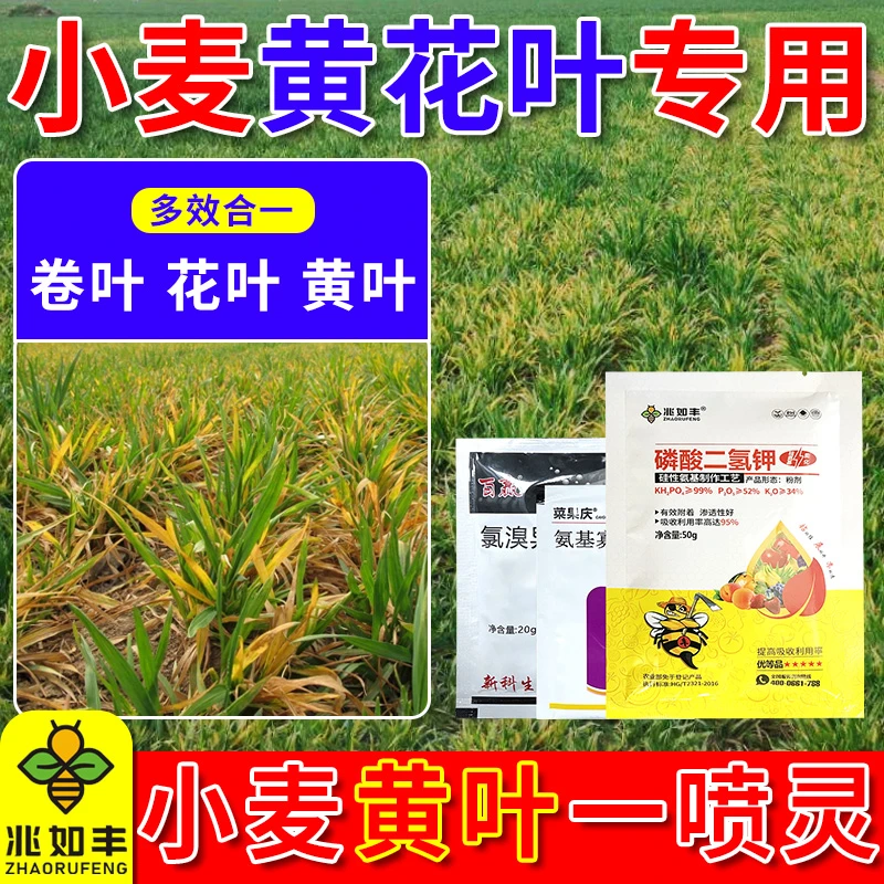 兆如丰小麦黄花叶专用技术包黄叶卷叶弱苗一喷灵防病增产杀菌套装