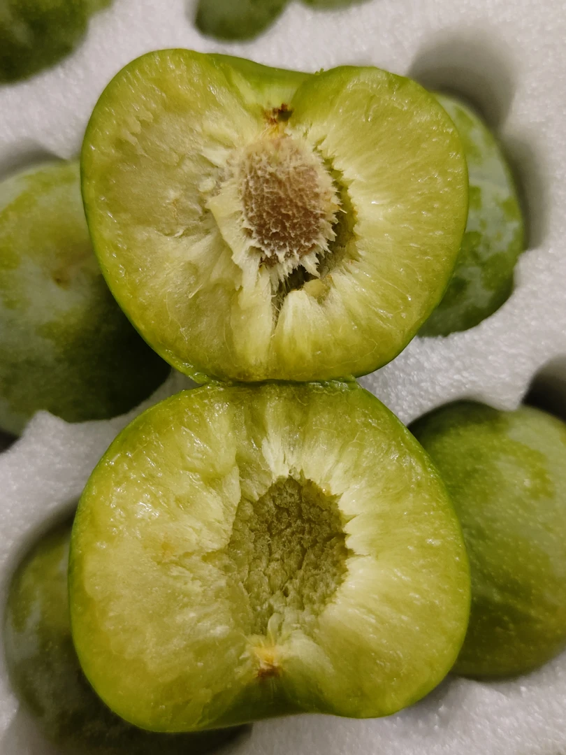 四川重庆巫山曲尺现摘脱骨李子5斤装单果新鲜清脆当季李子脆甜果