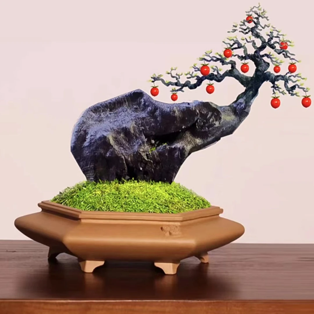 宠粉10级灯牌福利精品金弹子精品盆景茶台小盆景