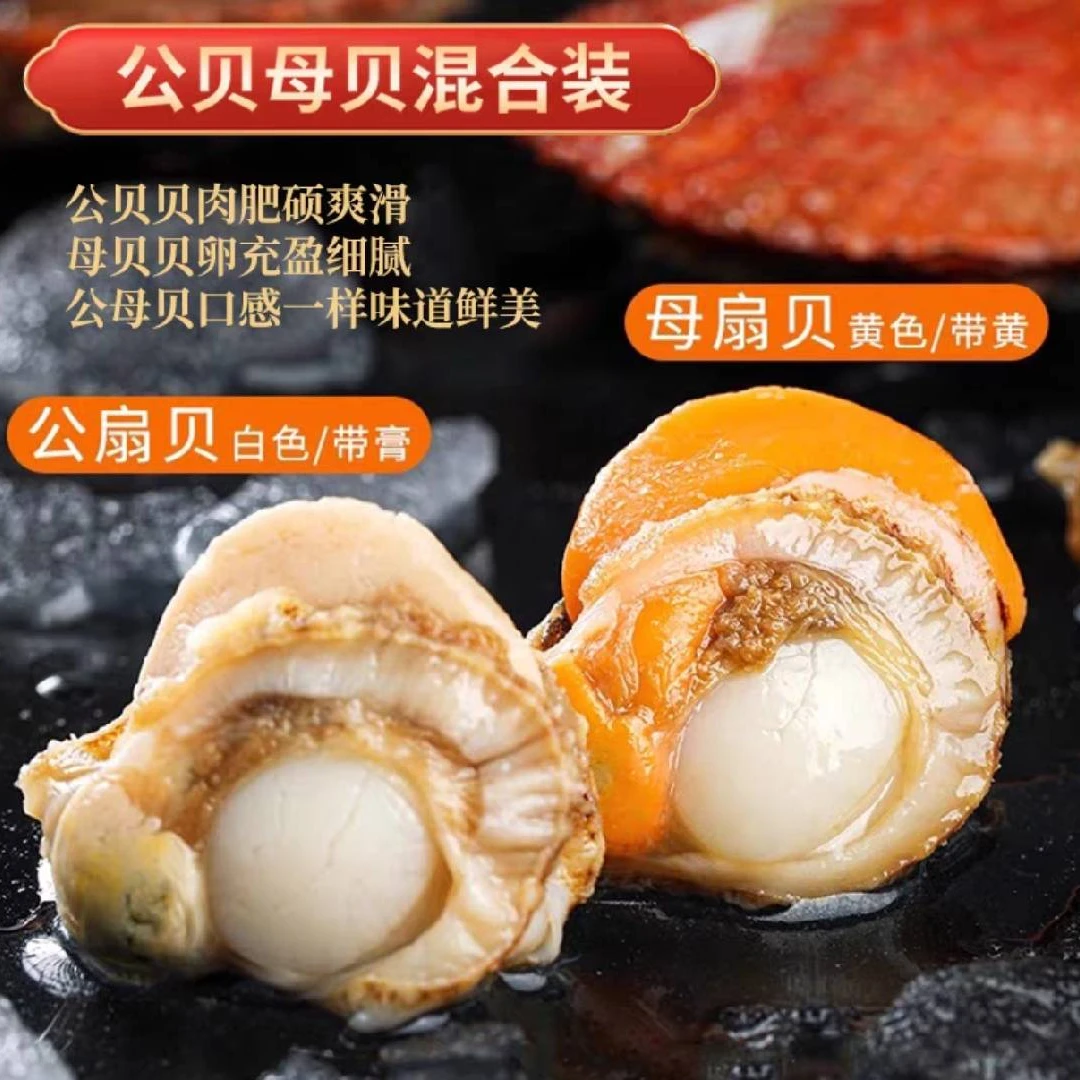 鑫康发公母混装新鲜扇贝新鲜冷冻锁鲜扇贝肉去壳无沙顺丰冷链包邮