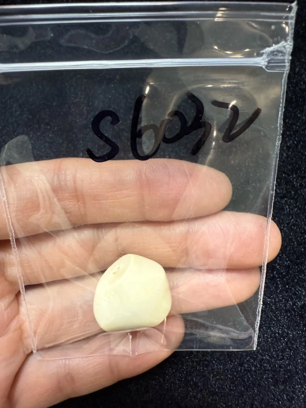 S6032 猛犸牙鲨鱼背三通配饰