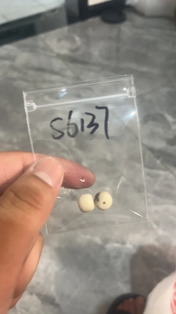 S6137猛犸牙对珠配饰