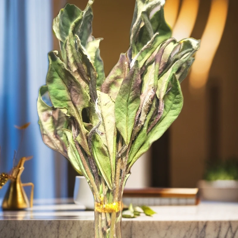 2024荒野扫把茶 品质高 香甜爽口福鼎白茶茶农直销