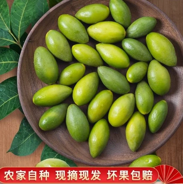 潮汕灵峰青橄榄新鲜现摘生吃回甘甜脆种二号煲汤孕妇水果1斤包邮