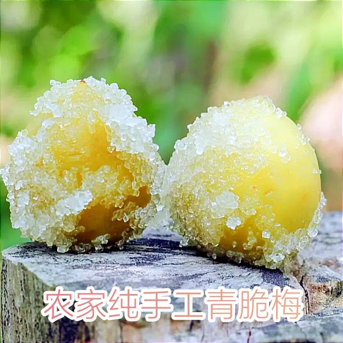 潮汕特产农家蜂蜜浸脆梅正宗清脆梅手工酸甜青梅解腻装瓶老鹰茶