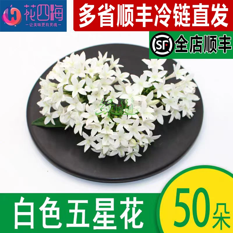 新鲜五星花 白色小花 繁星花 酒店西餐厅冷艺摆盘装饰鲜花 小花1g